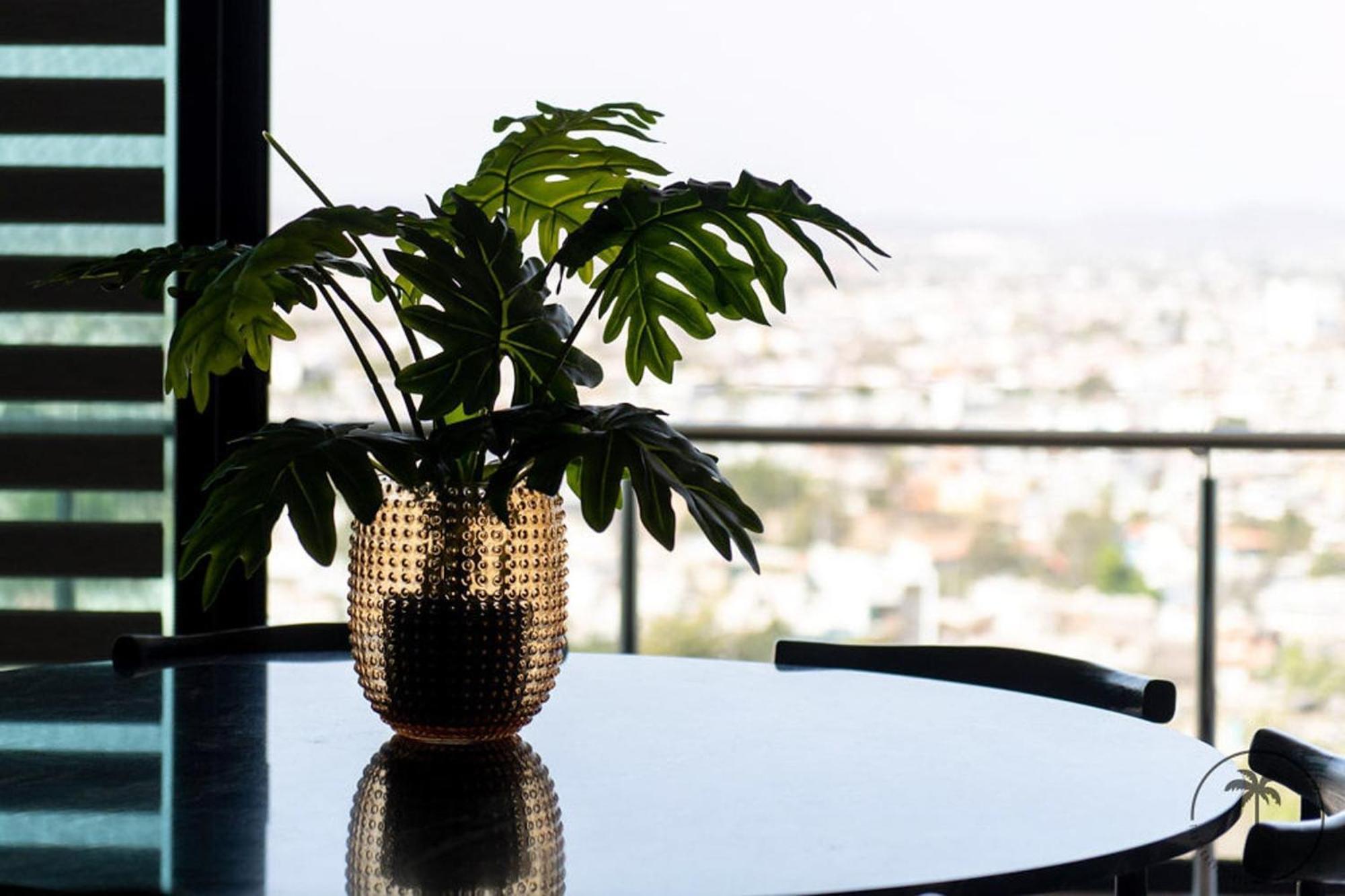 Nuevo Departamento En El Malecon! Apartment มาซาตลัน ภายนอก รูปภาพ